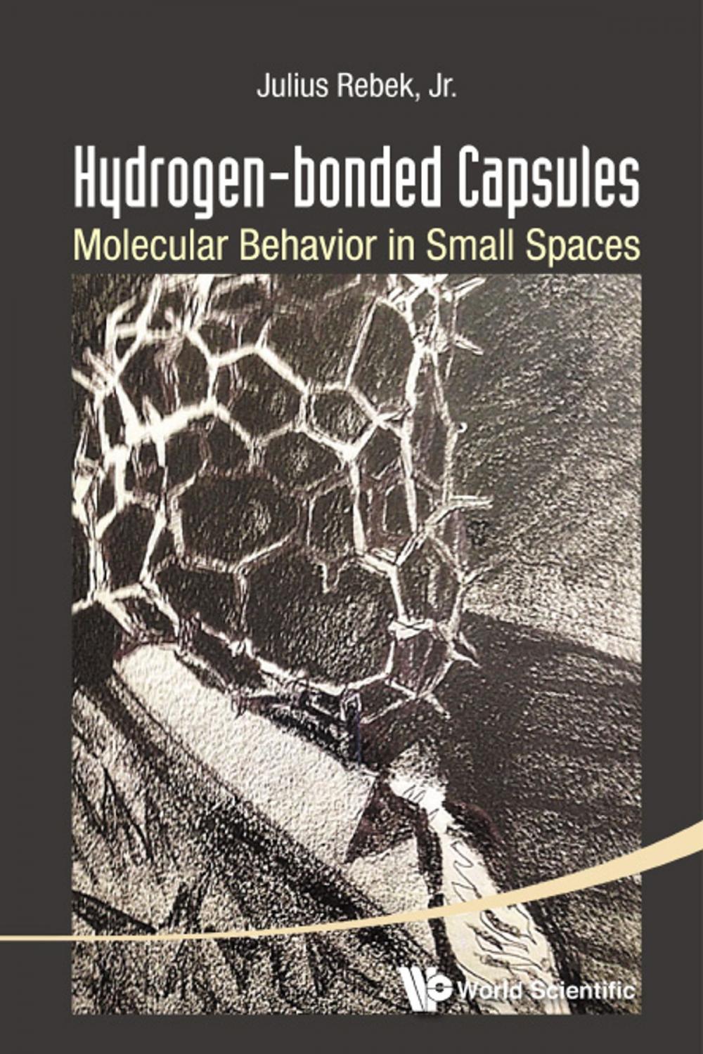 Big bigCover of Hydrogen-bonded Capsules