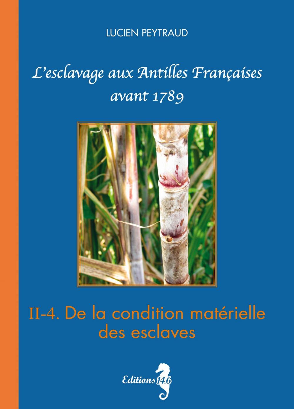 Big bigCover of II-4 De la condition matérielle des esclaves