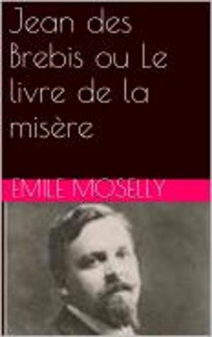 Cover of the book Jean des Brebis ou Le livre de la misère by Delly