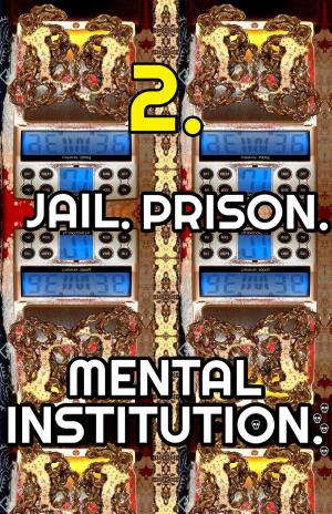 Book cover of Joseph. Jail. Prison. Mental Institution. Part 2.