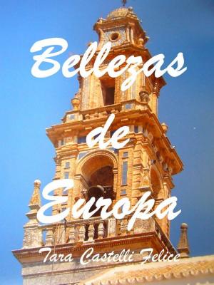 Book cover of Un paseo en Europa