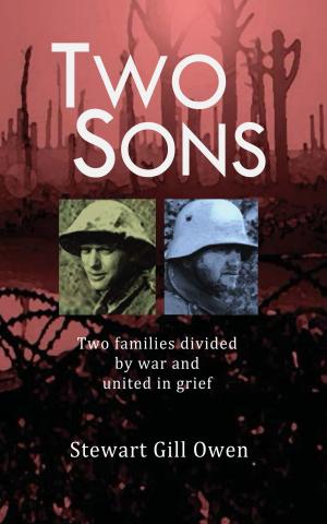 bigCover of the book Two Sons by 