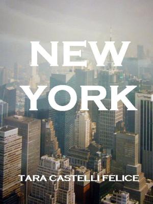 Cover of the book Un paseo en Nueva York by Tara Castelli Felice