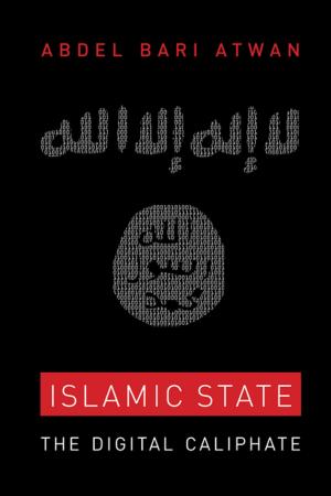 Cover of the book Islamic State by Emily K. Hobson