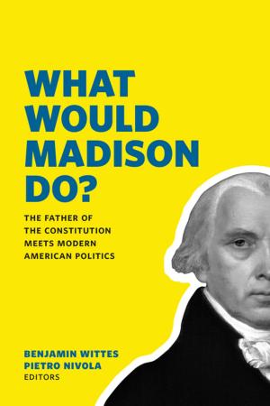 Cover of the book What Would Madison Do? by Shivshankar Menon