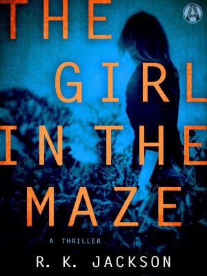 bigCover of the book The Girl in the Maze by 
