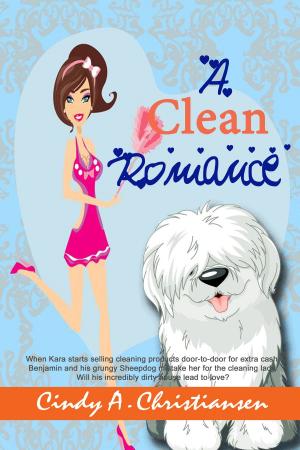 Cover of the book A Clean Romance by SR Silcox