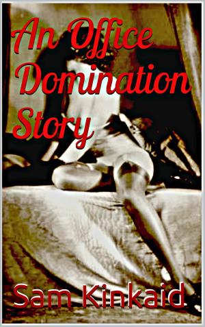 Cover of the book An Office Domination Story by Juliet Beltrey