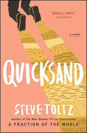 Cover of the book Quicksand by Howard Jacobson