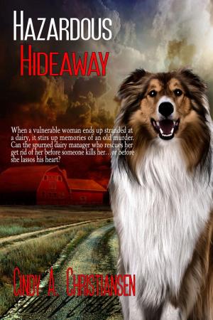 Book cover of Hazardous Hideaway