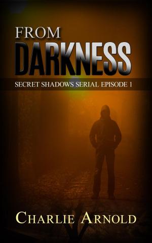 Cover of the book From Darkness by Megan Derr