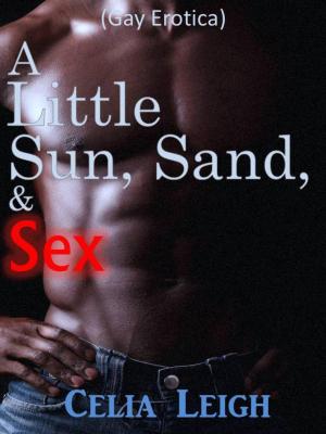 Cover of the book A Little Sun, Sand and Sex by Harish Kumar