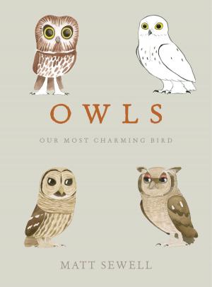 Cover of the book Owls by Jean Racine