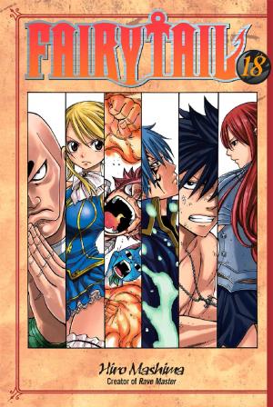 Cover of the book Fairy Tail by Atsushi Ohkubo
