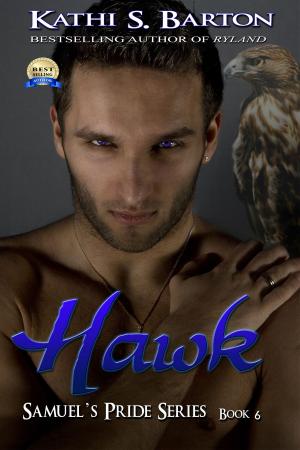 Cover of the book Hawk by Kathi S Barton