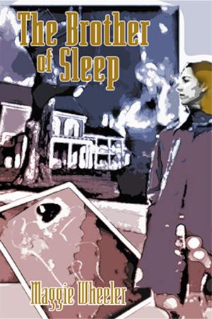 Cover of the book The Brother of Sleep by David Mulholland