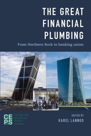 Cover of the book The Great Financial Plumbing by Marie-Luise Angerer