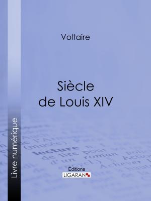 Cover of the book Siècle de Louis XIV by Constantin-Alexandrowitch Bodisco, Ligaran