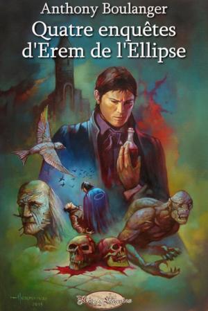 Cover of the book Quatre enquêtes d'Erem de l'Ellipse by Daniel Ferguson