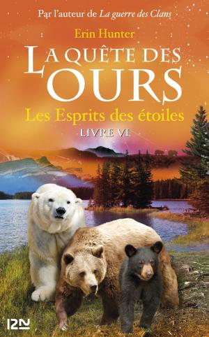 Cover of the book La quête des ours tome 6 by Léo MALET