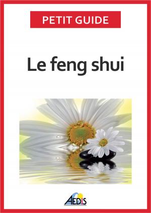 Cover of the book Le feng shui by Petit Guide, Martina Krčcmár