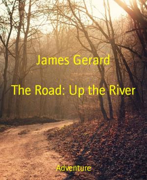 Cover of the book The Road: Up the River by Thomas Herzberg