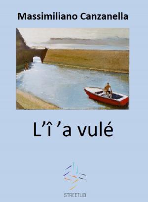 Book cover of L'î ’a vulé
