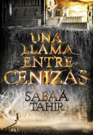 Cover of the book Una llama entre cenizas (Una llama entre cenizas 1) by Agustín Martínez
