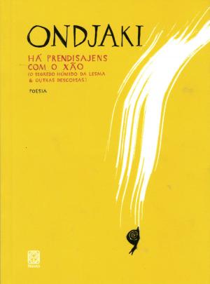 Cover of the book Há prendisajens com o xão by Kate Noakes