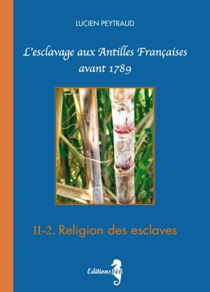 bigCover of the book II-2 Religion des esclaves by 