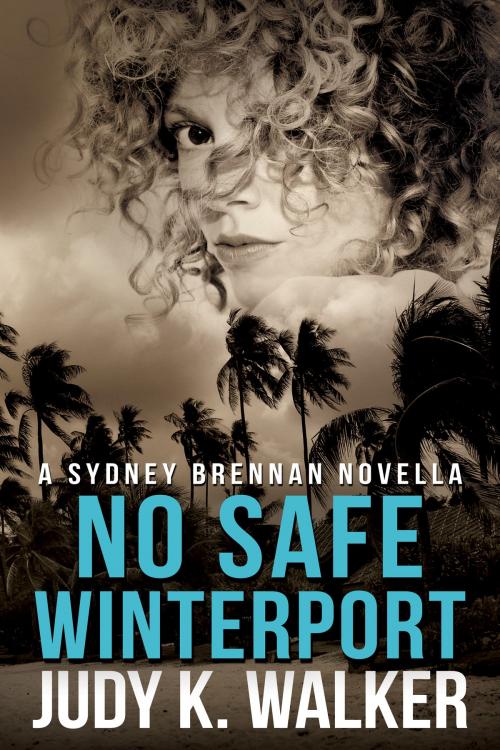 Cover of the book No Safe Winterport by Judy K. Walker, Judy K. Walker