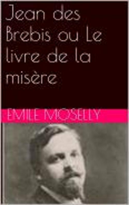 Cover of the book Jean des Brebis ou Le livre de la misère by Emile Moselly, pb