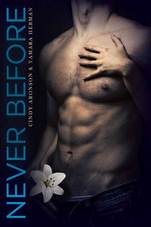 Cover of the book Never Before by Tamara Herman, Cindy Aronson, Jagged Edge Publishing Inc.