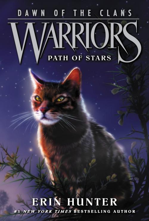 Cover of the book Warriors: Dawn of the Clans #6: Path of Stars by Erin Hunter, HarperCollins