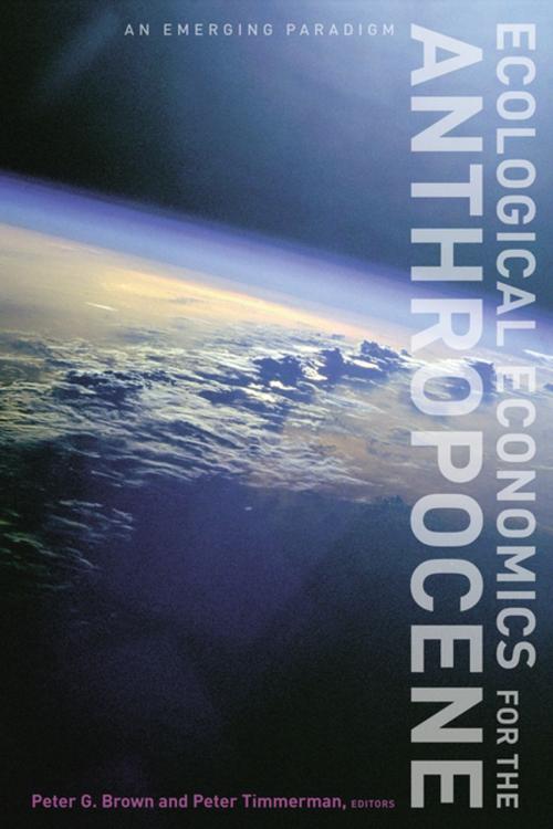 Cover of the book Ecological Economics for the Anthropocene by , Columbia University Press