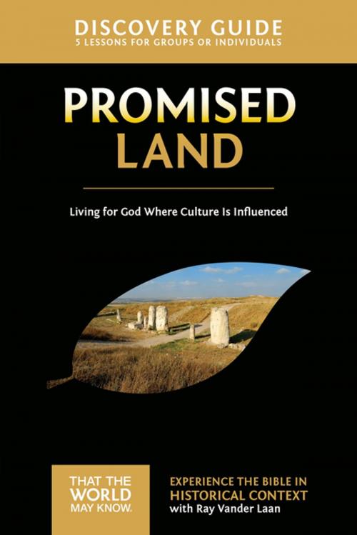 Cover of the book Promised Land Discovery Guide by Ray Vander Laan, Stephen and Amanda Sorenson, Zondervan