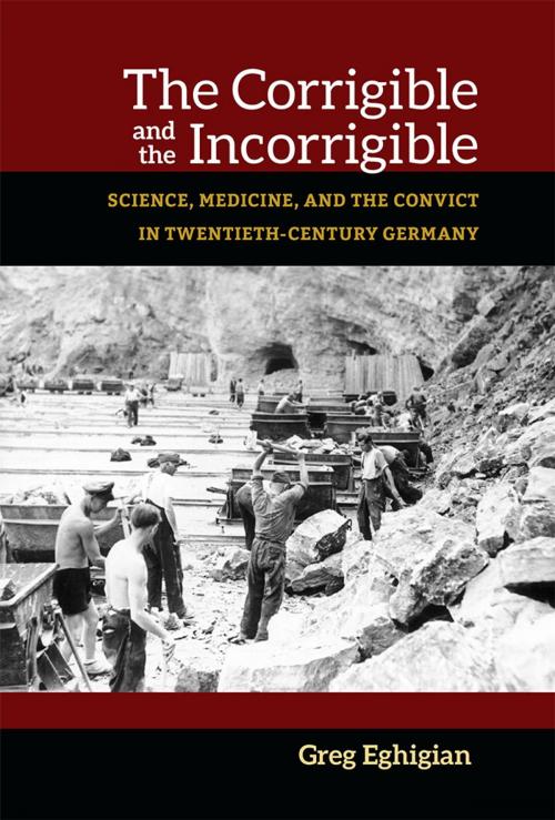 Cover of the book The Corrigible and the Incorrigible by Greg A. Eghigian, University of Michigan Press