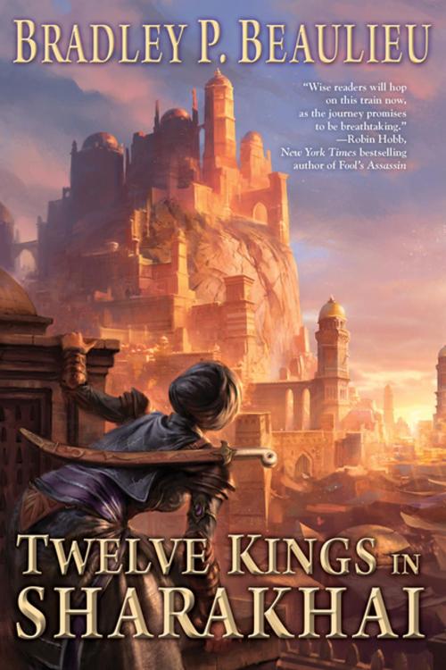 Cover of the book Twelve Kings in Sharakhai by Bradley P. Beaulieu, DAW