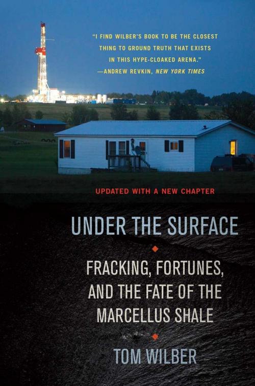 Cover of the book Under the Surface by Tom Wilber, Cornell University Press