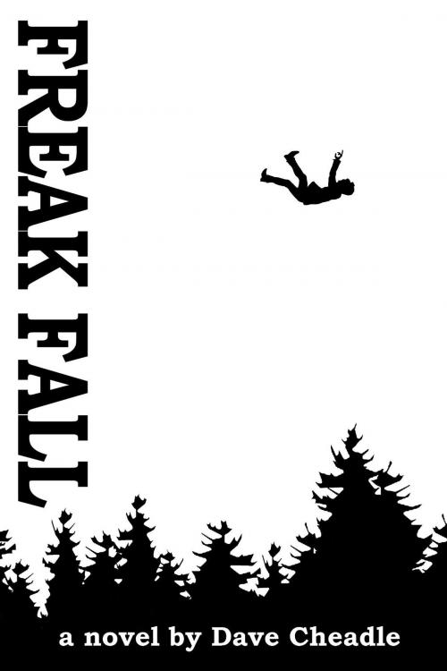 Cover of the book Freak Fall by Dave Cheadle, Headwaters Resources