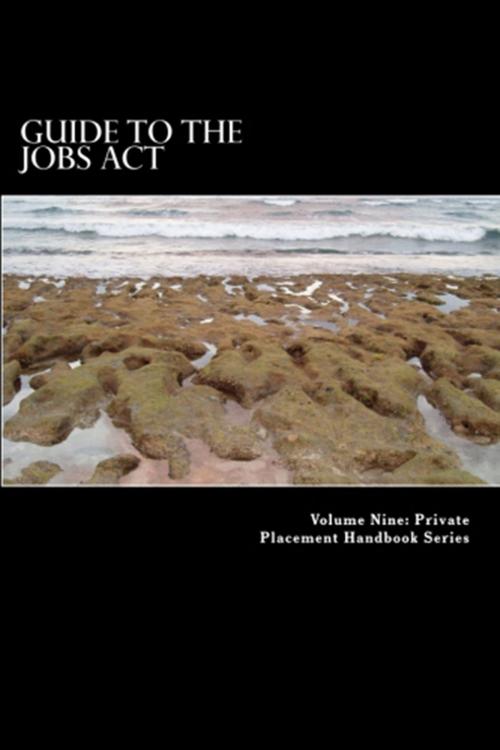 Cover of the book Guide to the JOBS Act by Private Placement Handbook Series, Private Placement Handbook Series