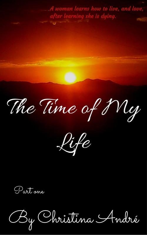 Cover of the book The Time of My Life: Part One by Christina Andre, Christina Andre
