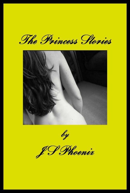 Cover of the book The Princess Stories by J S Phoenix, J S Phoenix