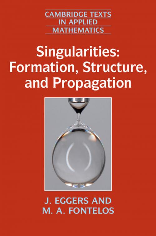 Cover of the book Singularities: Formation, Structure, and Propagation by J. Eggers, M. A. Fontelos, Cambridge University Press