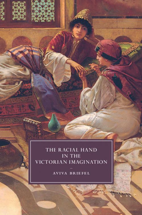 Cover of the book The Racial Hand in the Victorian Imagination by Aviva Briefel, Cambridge University Press