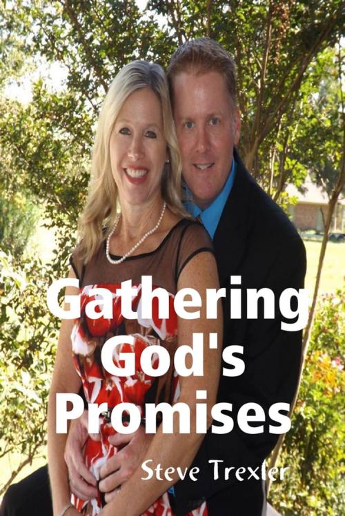 Cover of the book Gathering God's Promises by Steve Trexler, Lulu.com