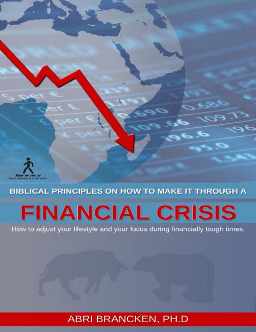 Cover of the book Biblical Principles On How to Make It Through a Financial Crisis by Abri Brancken, Lulu.com