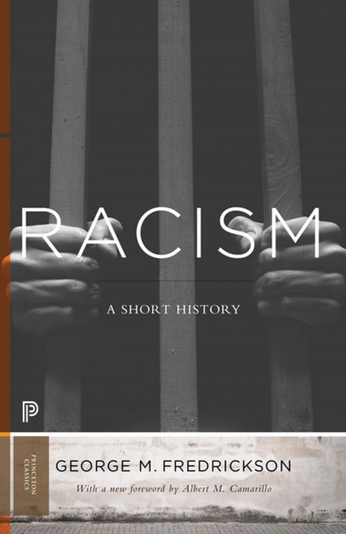 Cover of the book Racism by George M. Fredrickson, Princeton University Press