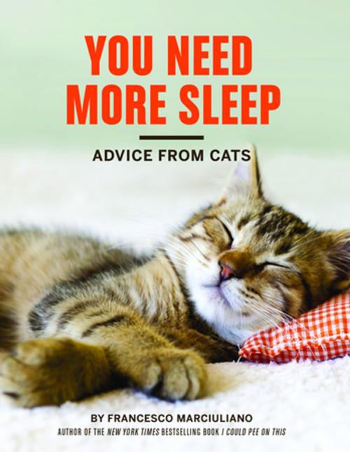 Cover of the book You Need More Sleep by Francesco Marciuliano, Chronicle Books LLC