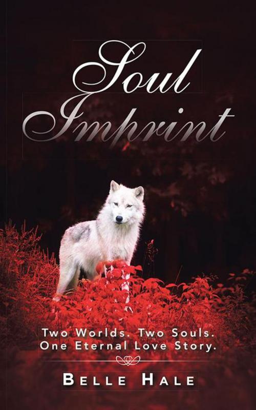 Cover of the book Soul Imprint by Belle Hale, Balboa Press AU